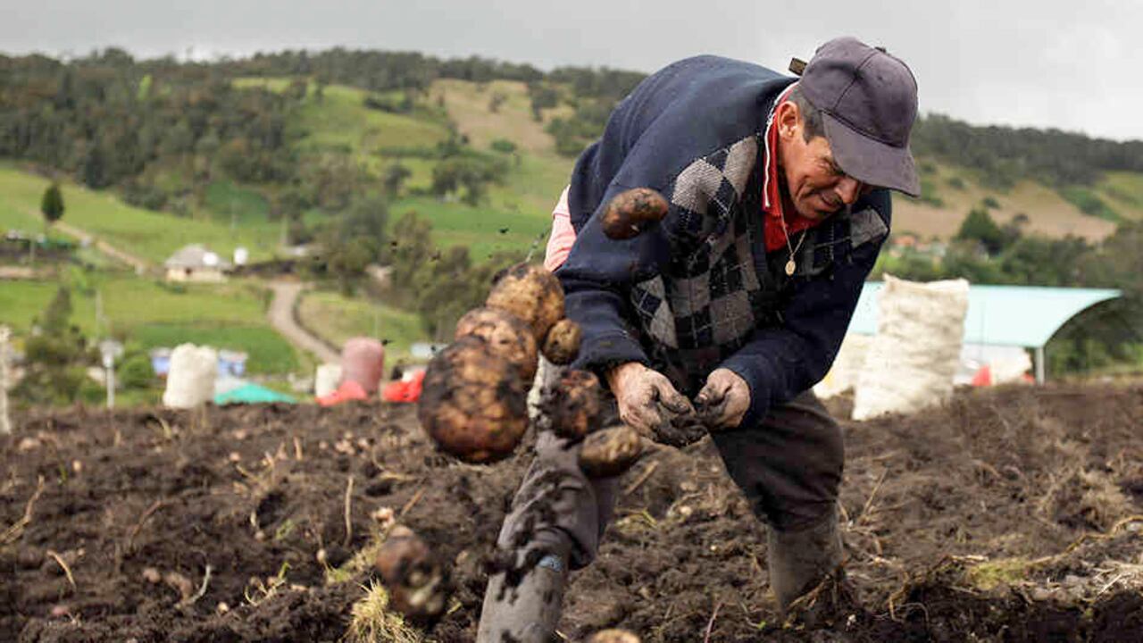 El decreto aprobado contiene los lineamientos de la reforma rural pactada en la mesa de negociaciones en La Habana.