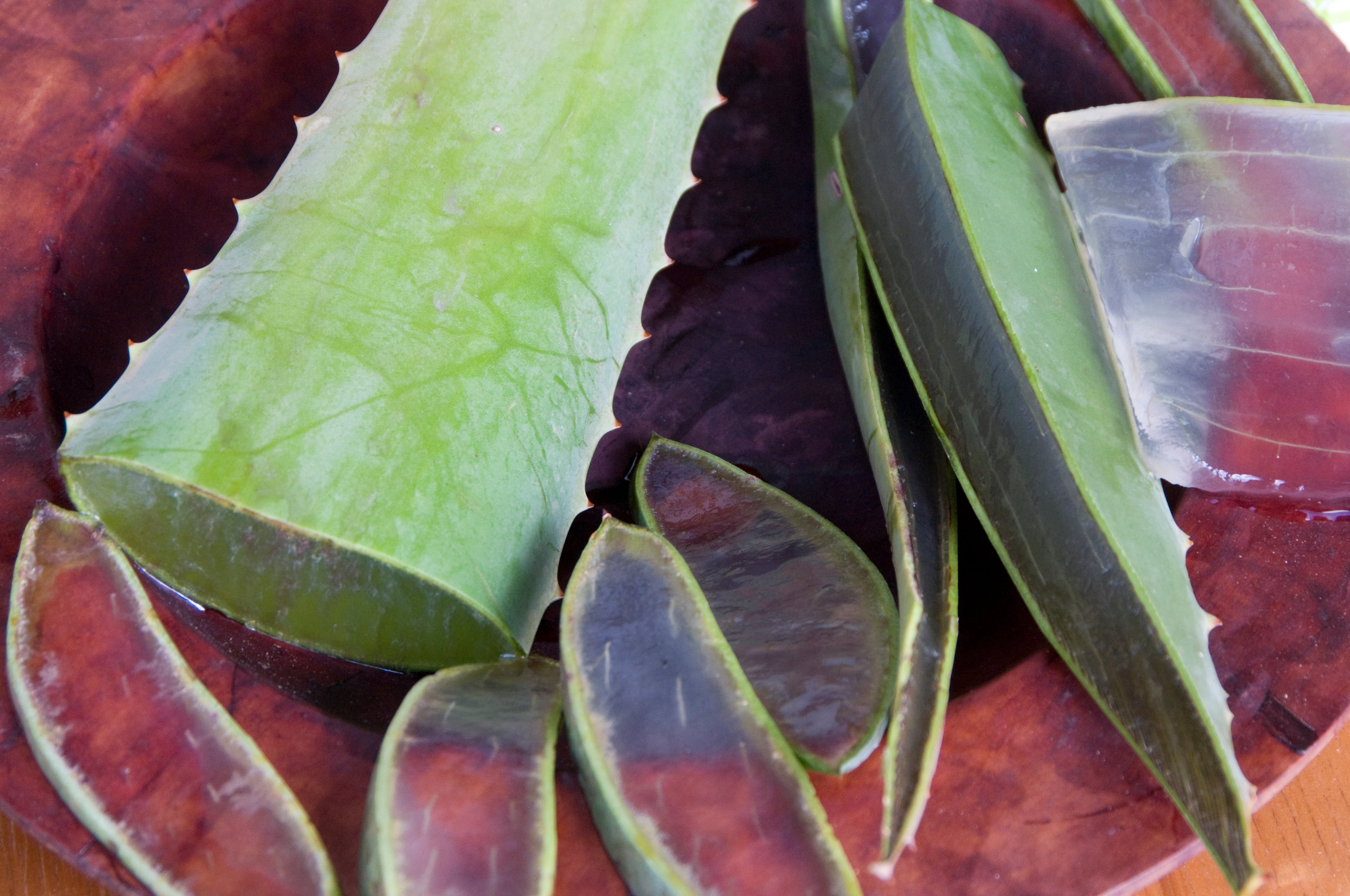 La sábila tiene propiedades que rejuvenecen la piel.