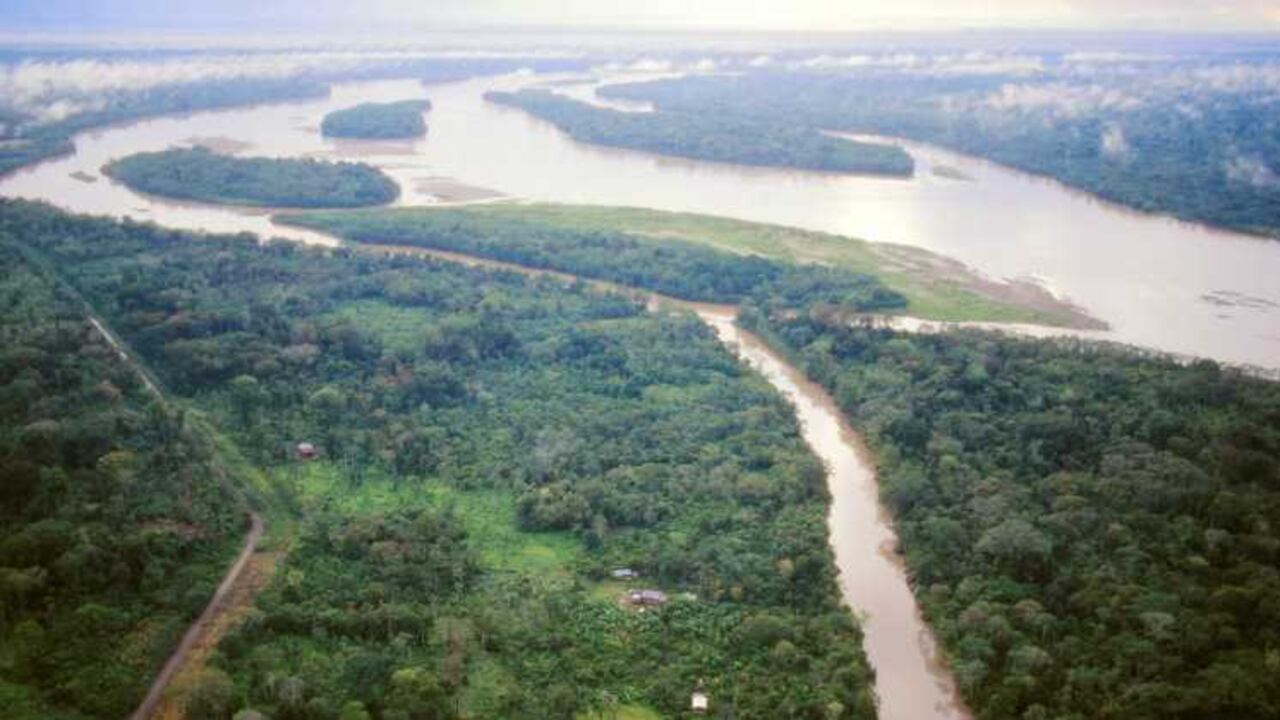 Amazonas. Foto: 123rf