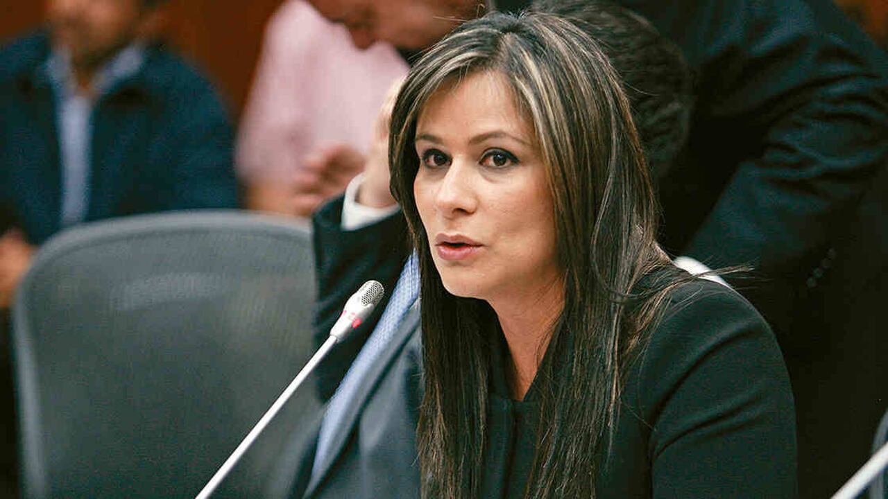 Senadora Martiza Martínez