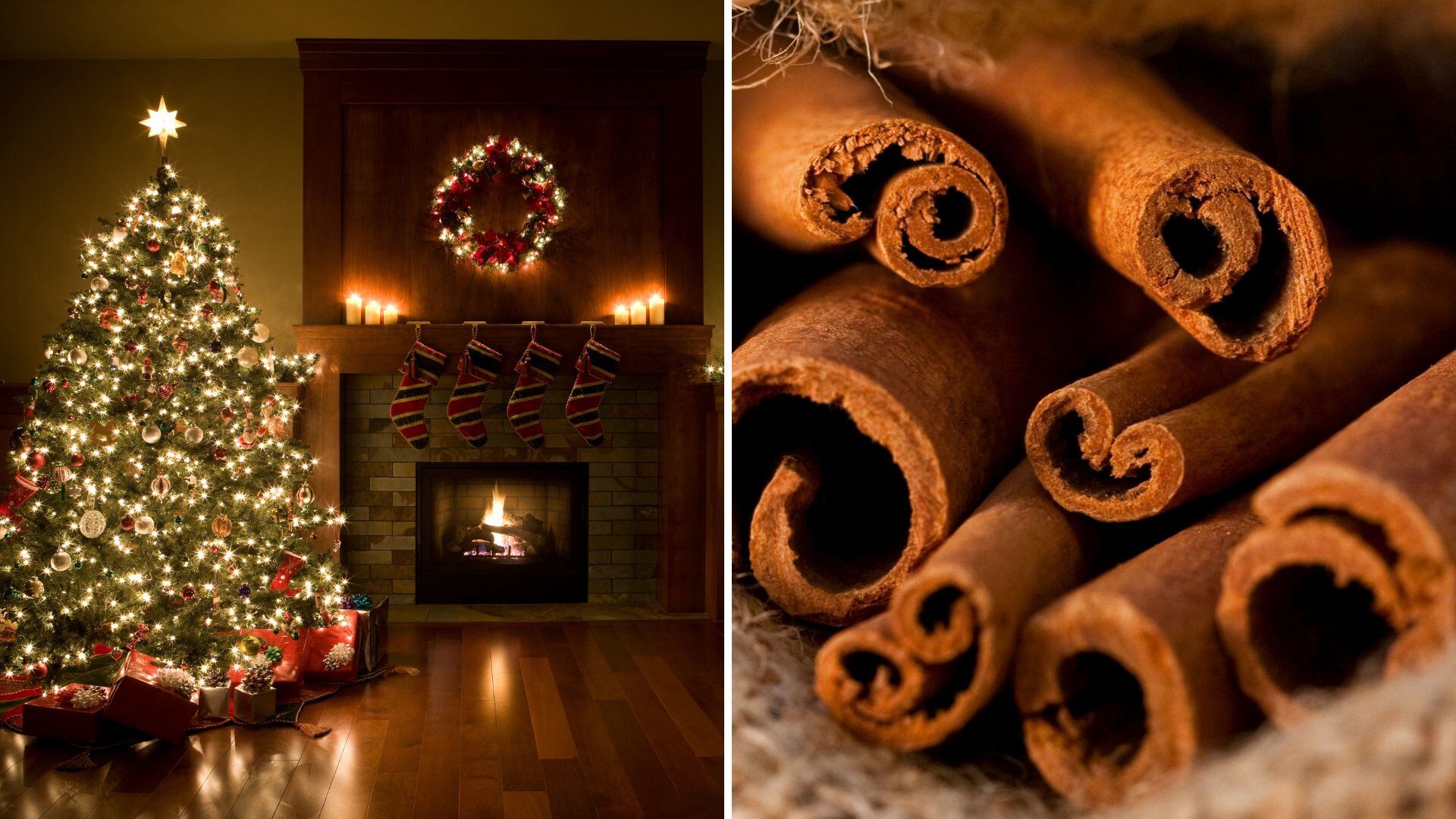 Navidad y canela