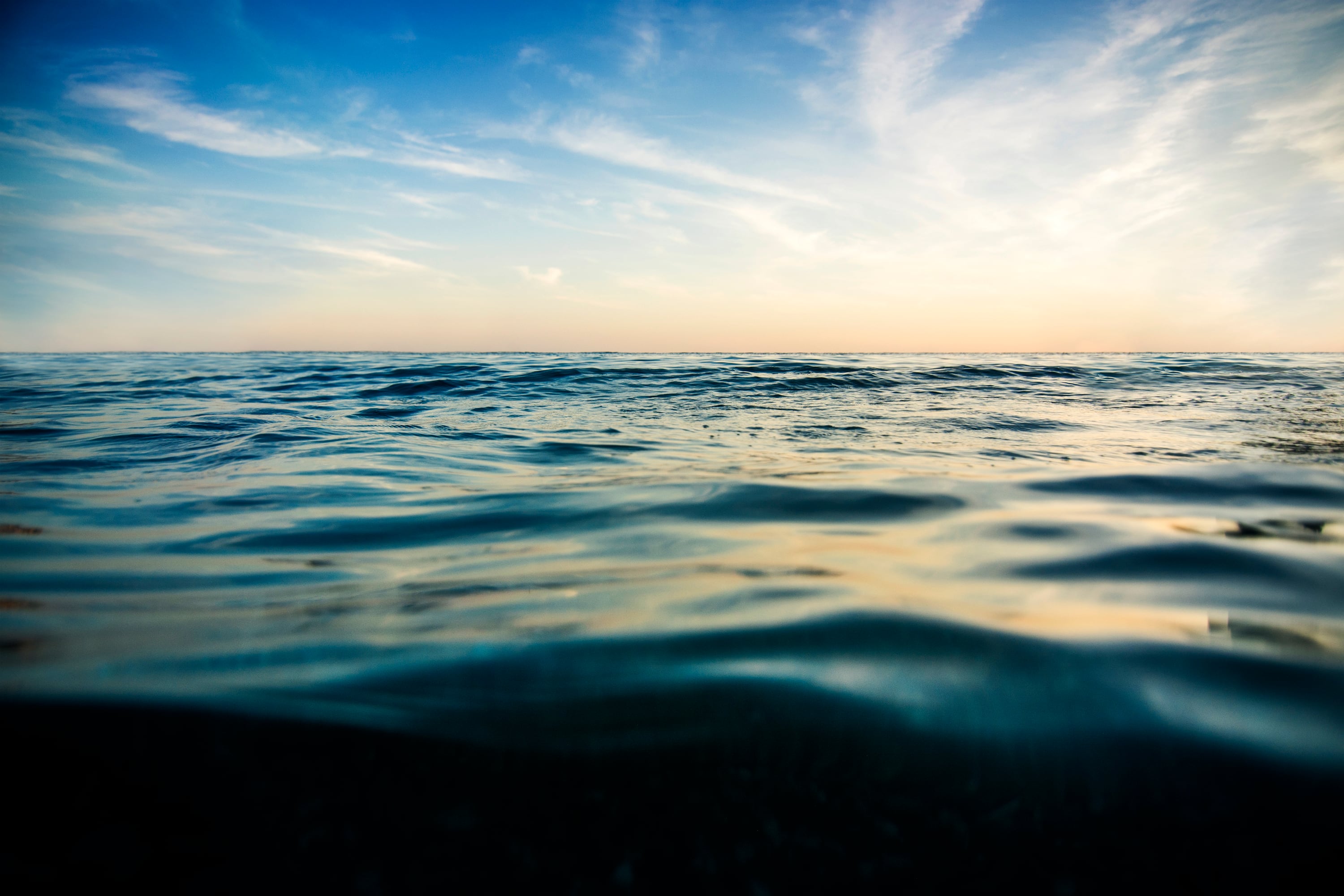 El mar estaría distribuyendo las sequías para evitar un impacto global al mismo tiempo.