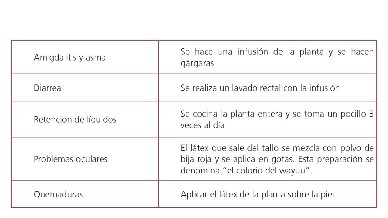 Vademécum de plantas medicinales Wayúu