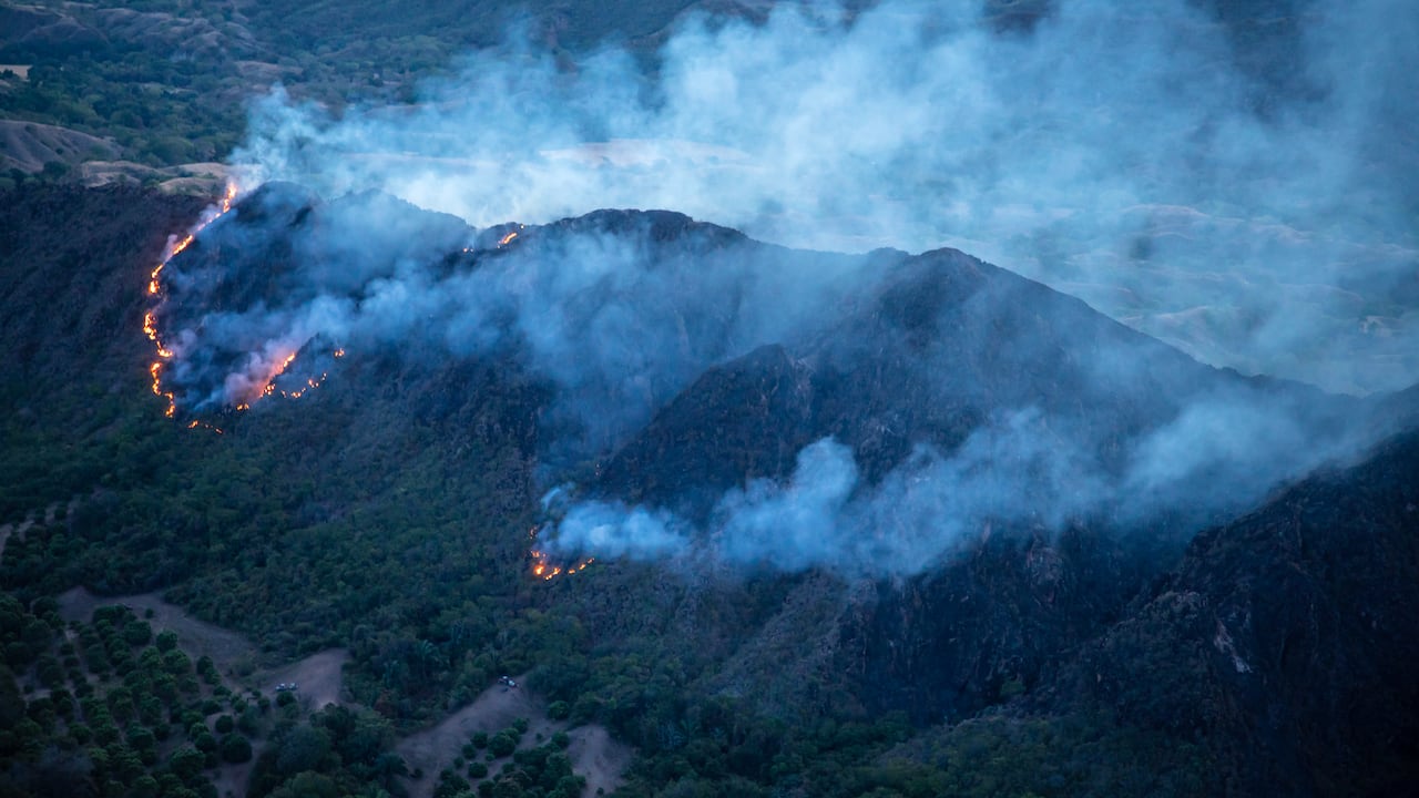 INCENDIOS FORESTALES EN EL DEPARTAMENTO DEL TOLIMA