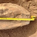 El fósil hallado corresponde a una paleollama, especie de la familia de las llamas que está extinta hace 12.000 años.