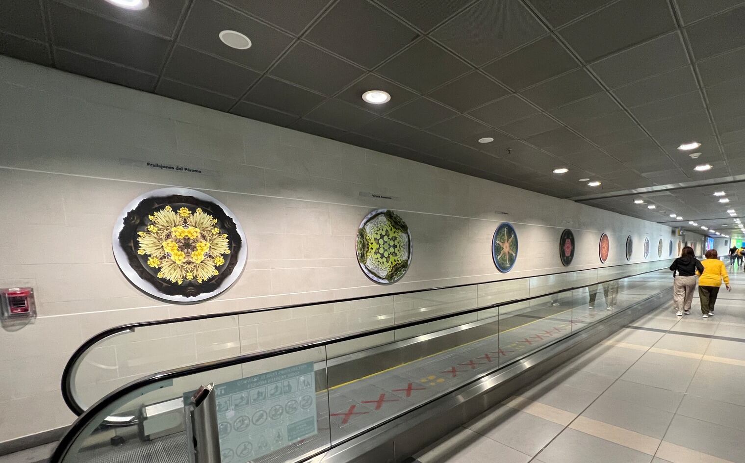 'Colombia... naturalmente', exposición