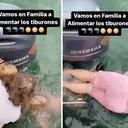 El hecho quedó grabado y fue publicado en Instagram