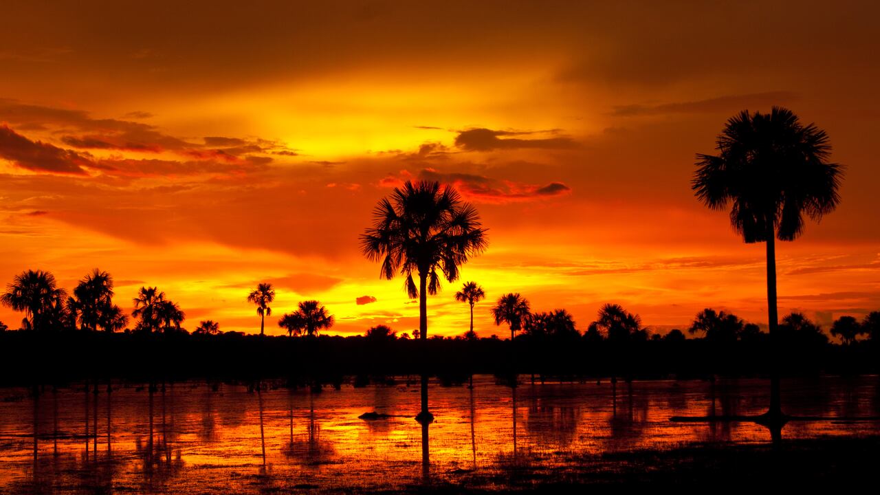 Los Llanos Orientales ofrecen importantes oportunidades laborales en sectores clave.