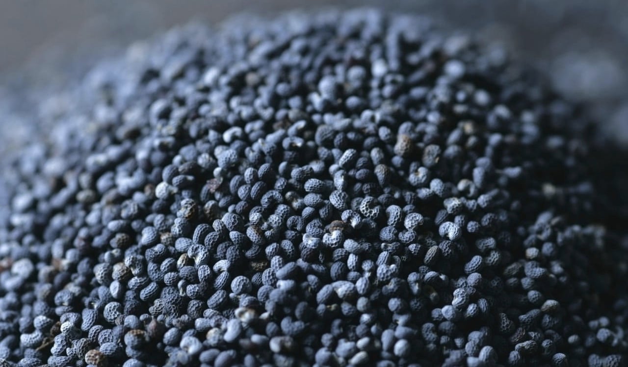 Las semillas de amapola son una gran fuente de proteína