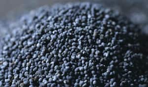 Las semillas de amapola son una gran fuente de proteína