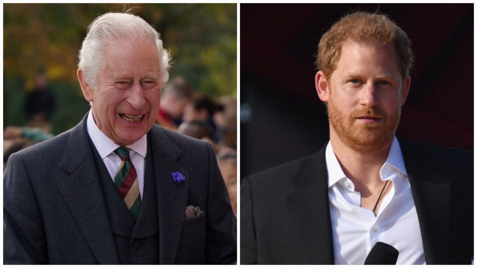 La normativa que busca modificar el rey Carlos pretende que la exclusión se aplique para los príncipes Enrique y Andrés.