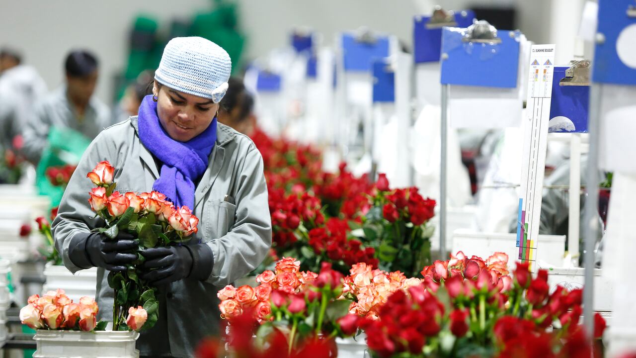 Durante el año pasado, 1.954 empresas, principalmente mipymes, hicieron exportaciones por más de 5.500 millones de dólares.