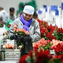 Durante el año pasado, 1.954 empresas, principalmente mipymes, hicieron exportaciones por más de 5.500 millones de dólares.