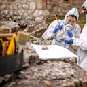 Científicos analizaron un antiguo fósil y descubrieron que su historia era diferente.