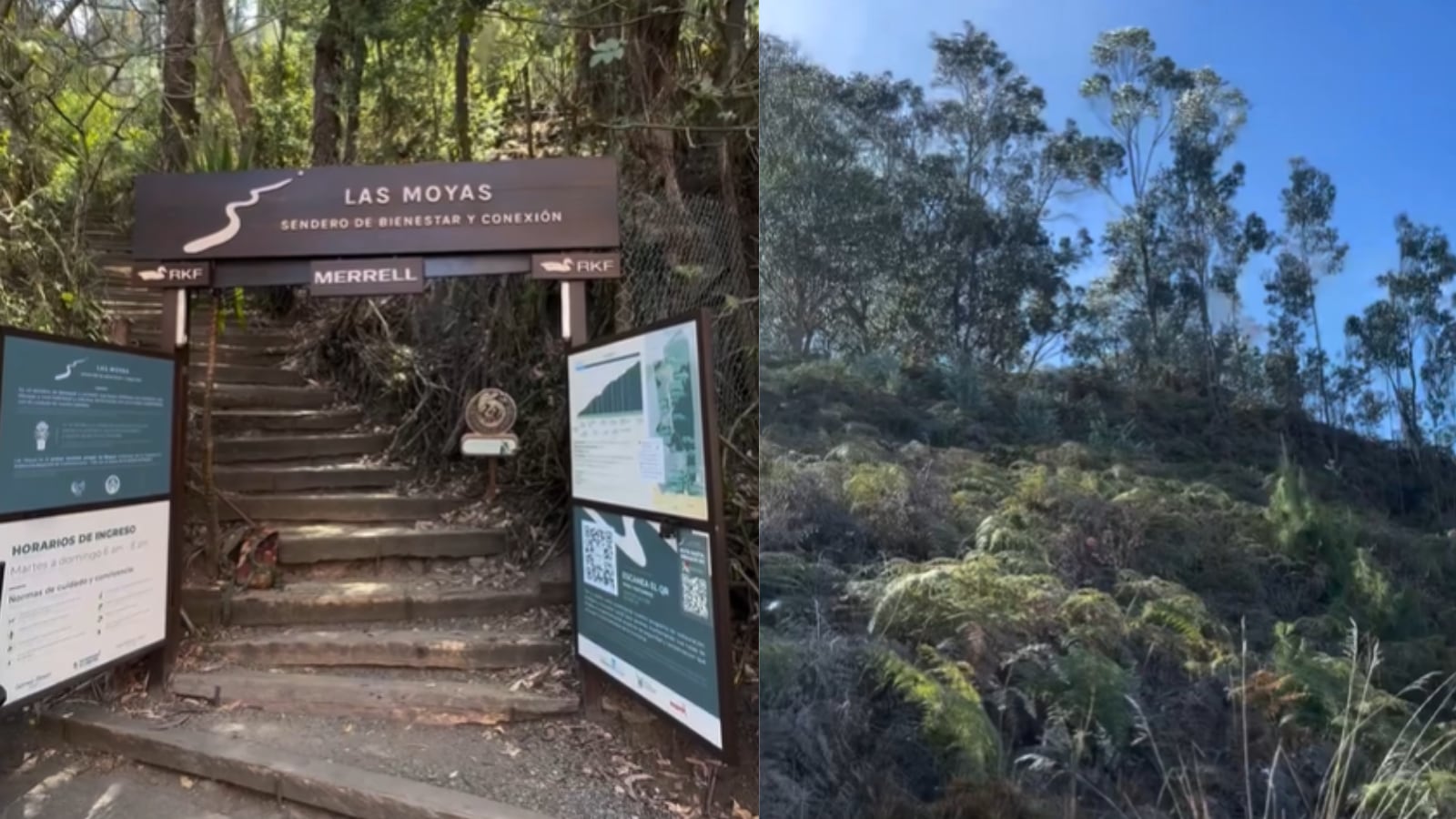 Sendero Las Moyas, un recorrido por la naturaleza de los cerros de Bogotá