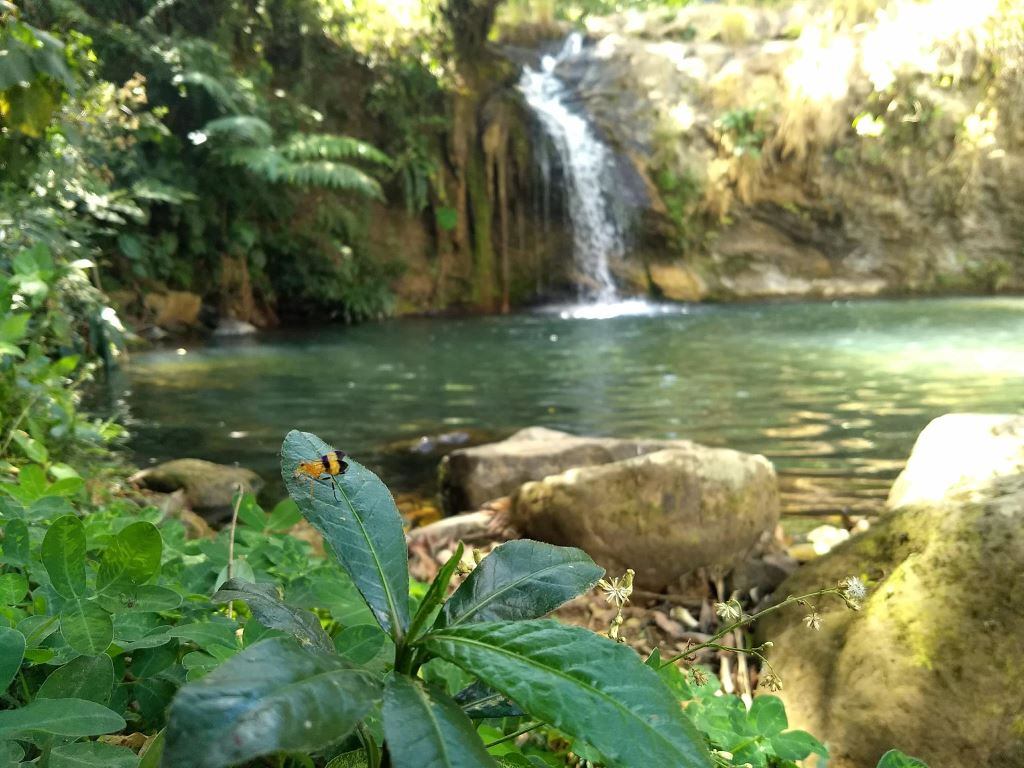 Valle de San José, Santander