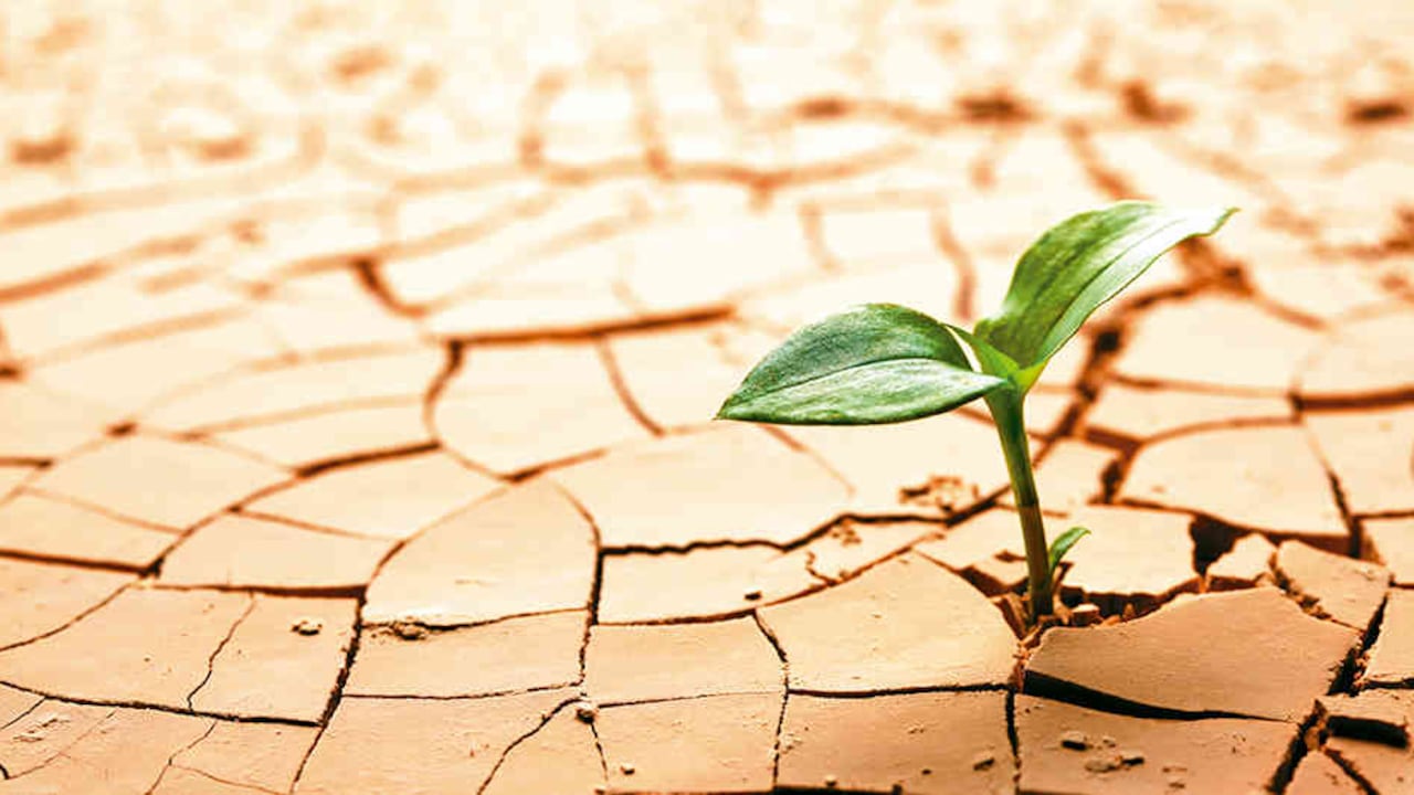 Los fenómenos de El Niño y de La Niña son, en parte, consecuencia de la combustión de energías fósiles.