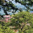 Simacota El primer pueblo atacado por el ELN, en 1965, hoy vive en paz