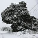 Tormentas de nieve en California.