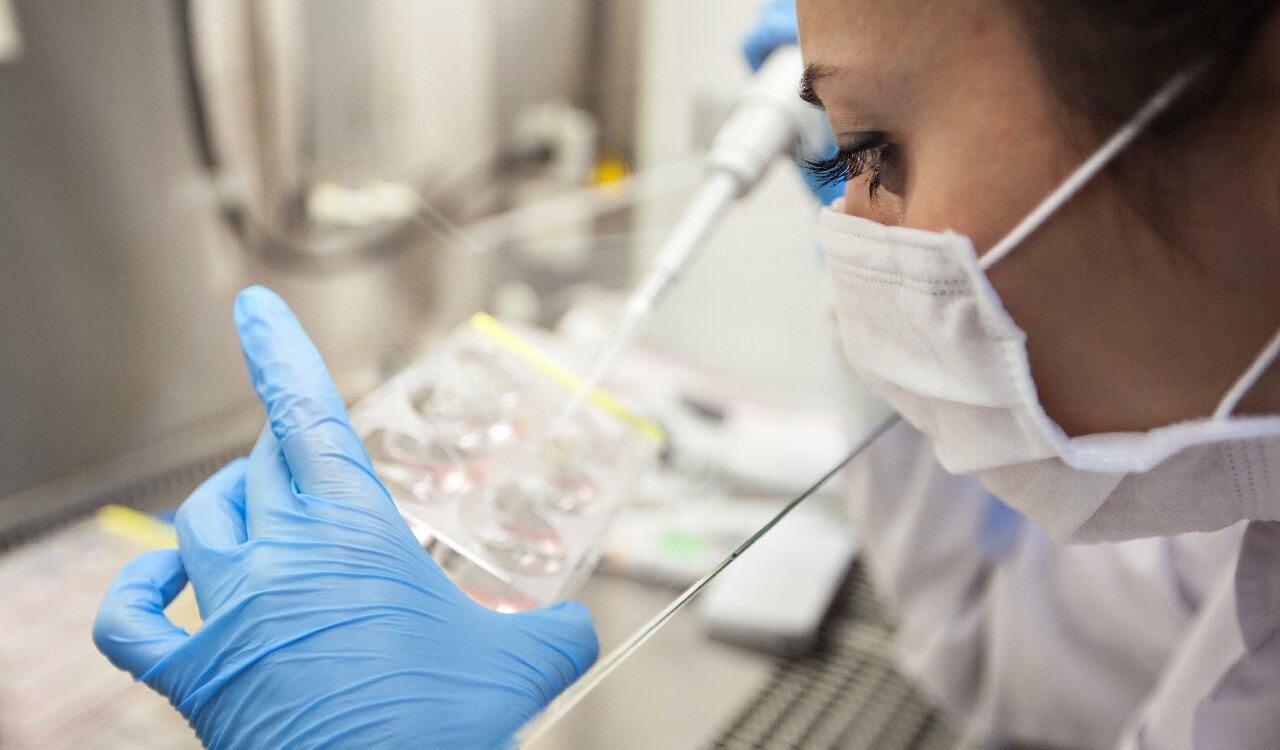 Sería la segunda persona en el mundo que se cura de VIH sin someterse a un tratamiento médico