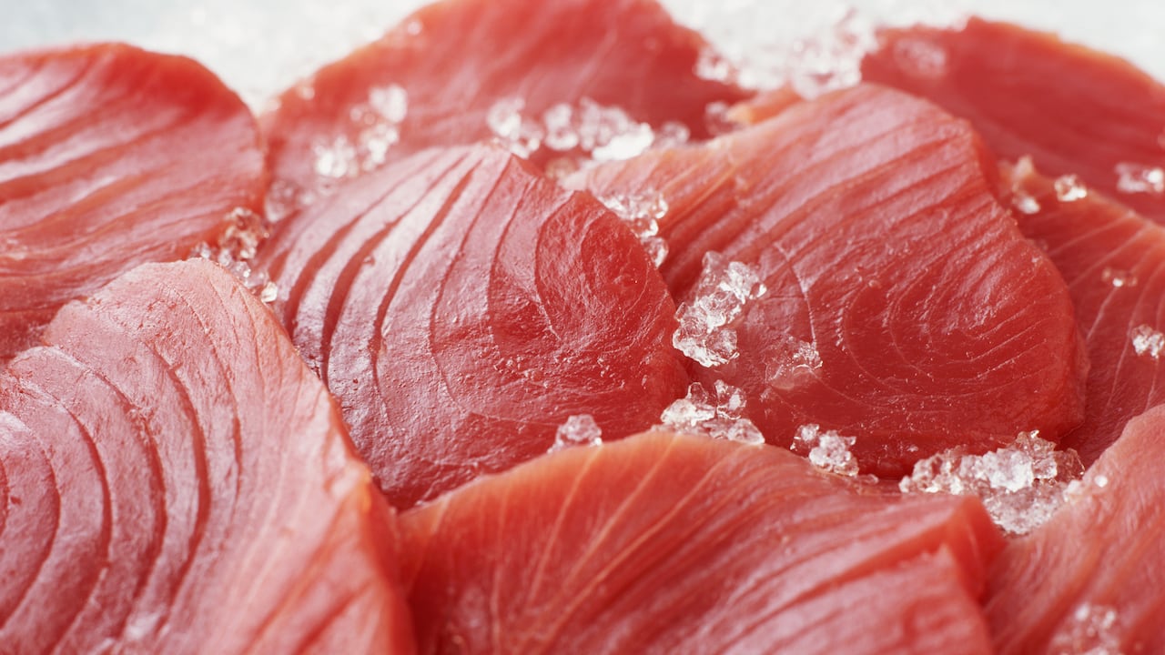 El atún es una de las mejres fuentes de proteinas que ayudan a la recuperación de los músculos