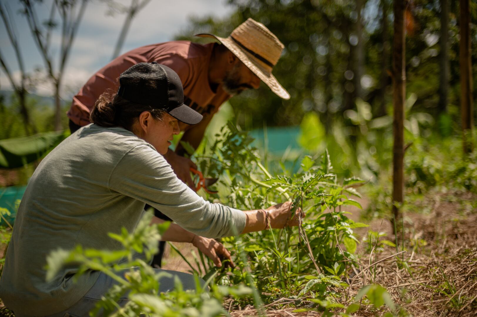 ¿Por qué el desarrollo rural es la clave para el futuro de Antioquia? Este es el compromiso de Comfama
