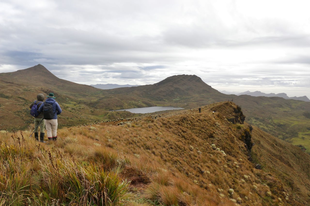 Este territorio de 191 hectáreas es habitado por comunidades que conviven con el complejo de páramos, rico en flora y fauna, y objeto de estudio de biólogos y científicos de varias disciplinas.