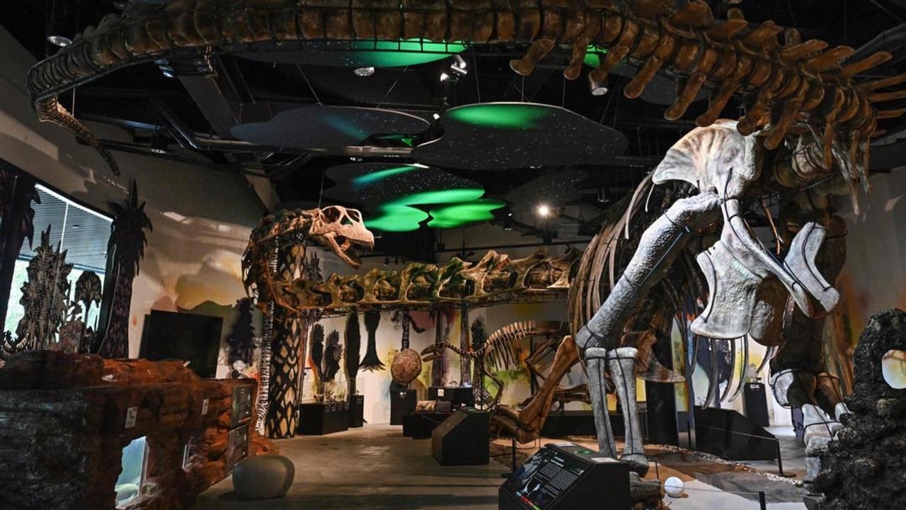 Modelo a tamaño real del "Nagatitan chaiyaphumensis" expuesto en el Museo Thainosaurio de Bangkok, el dinosaurio más grande jamás hallado en Tailandia.