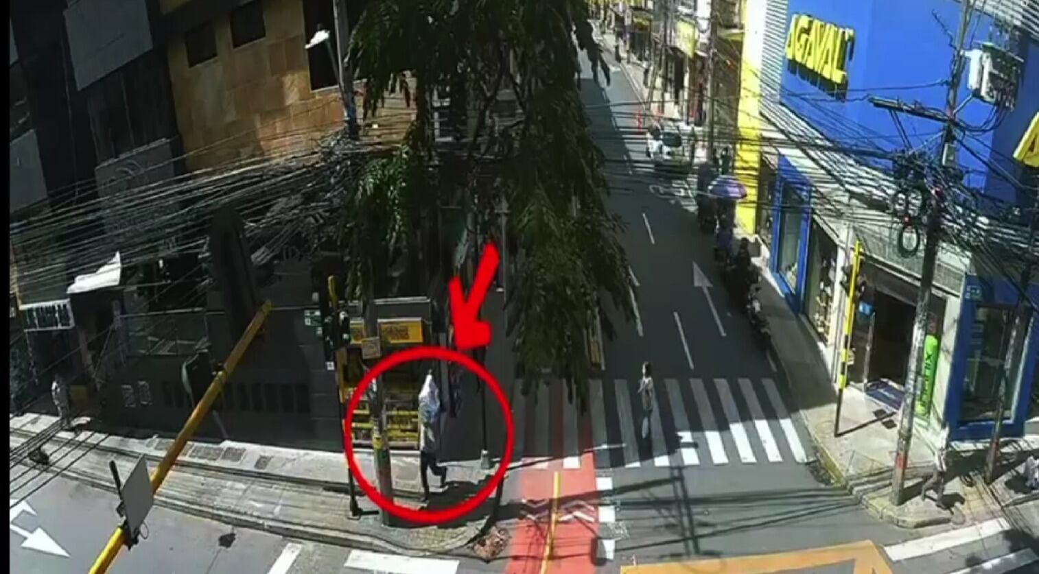 Robo de una organeta en una iglesia quedó en video