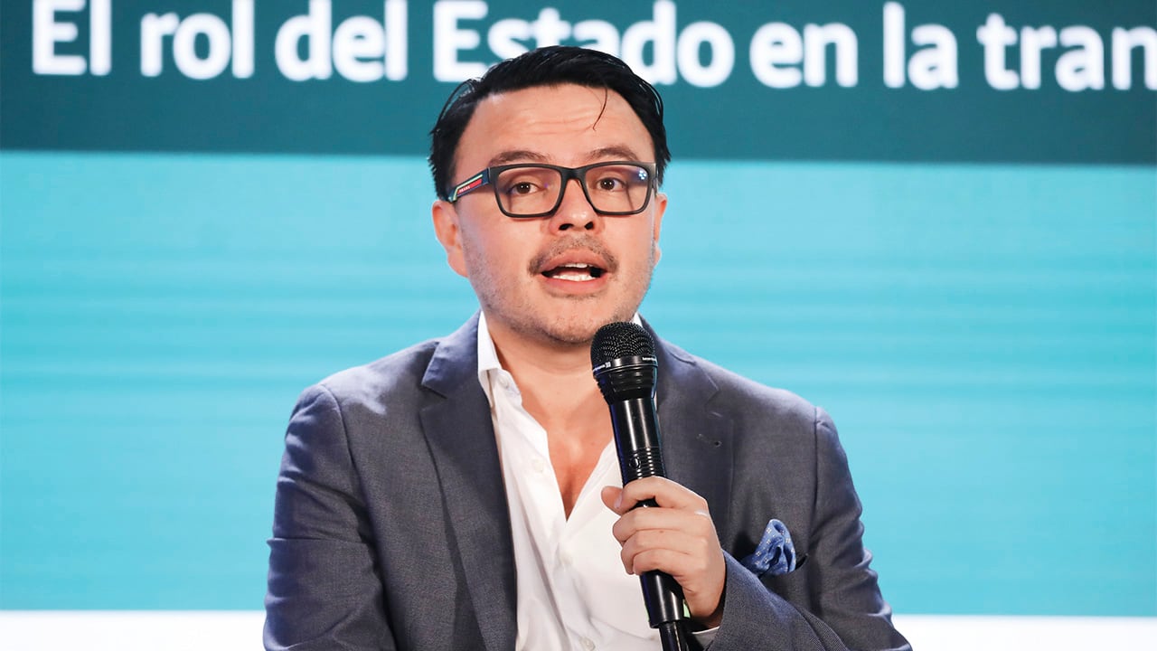 Felipe Harman Exdirector de la ANT