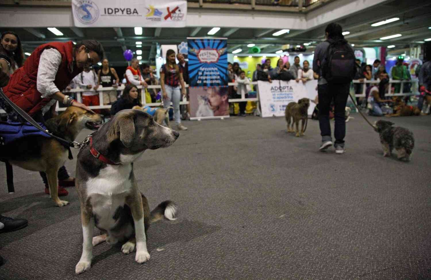 Foto: León Darío Peláez / SEMANA 