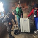 Policía e IDPYBA rescataron a cuatro perros y cinco gatos desnutridos en San Cristóbal.