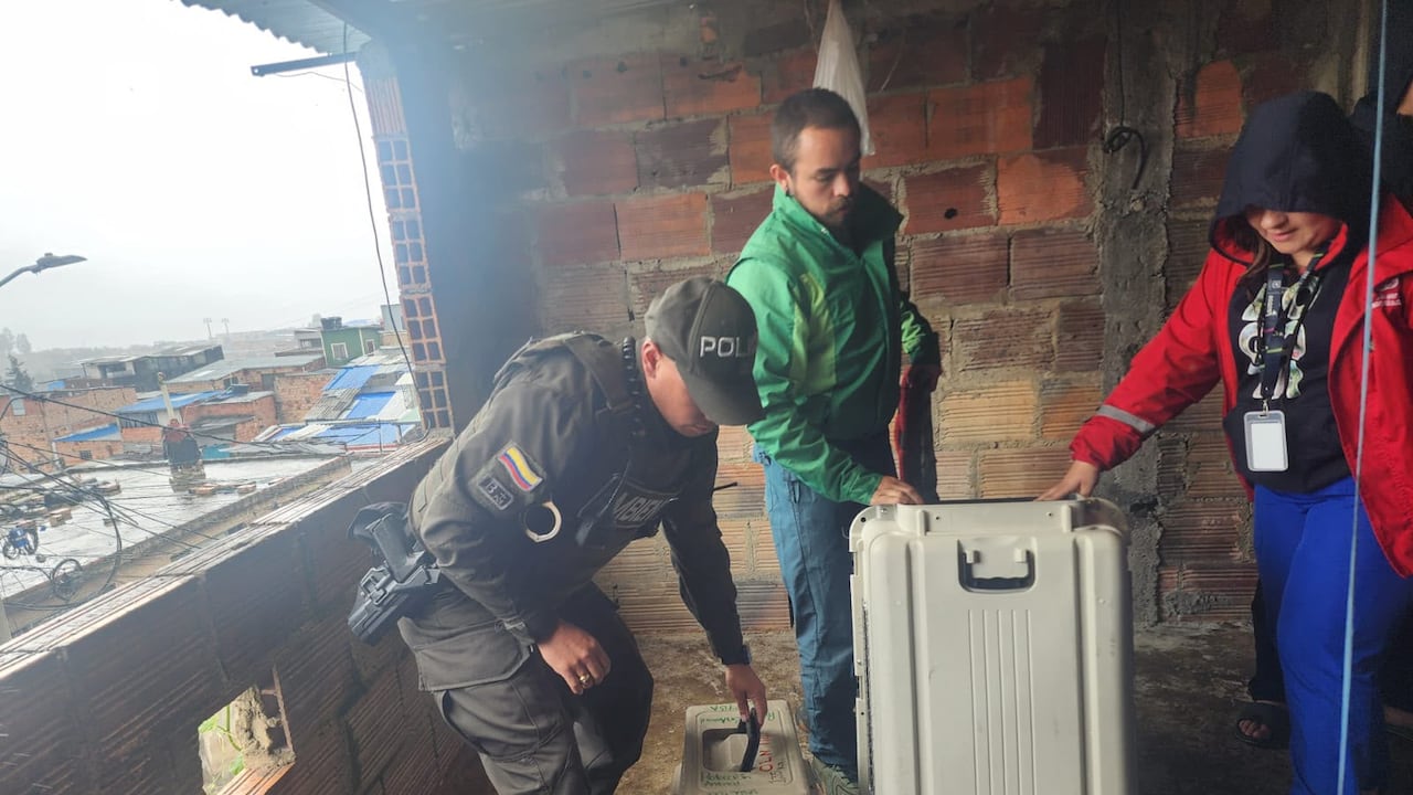 Policía e IDPYBA rescataron a cuatro perros y cinco gatos desnutridos en San Cristóbal.