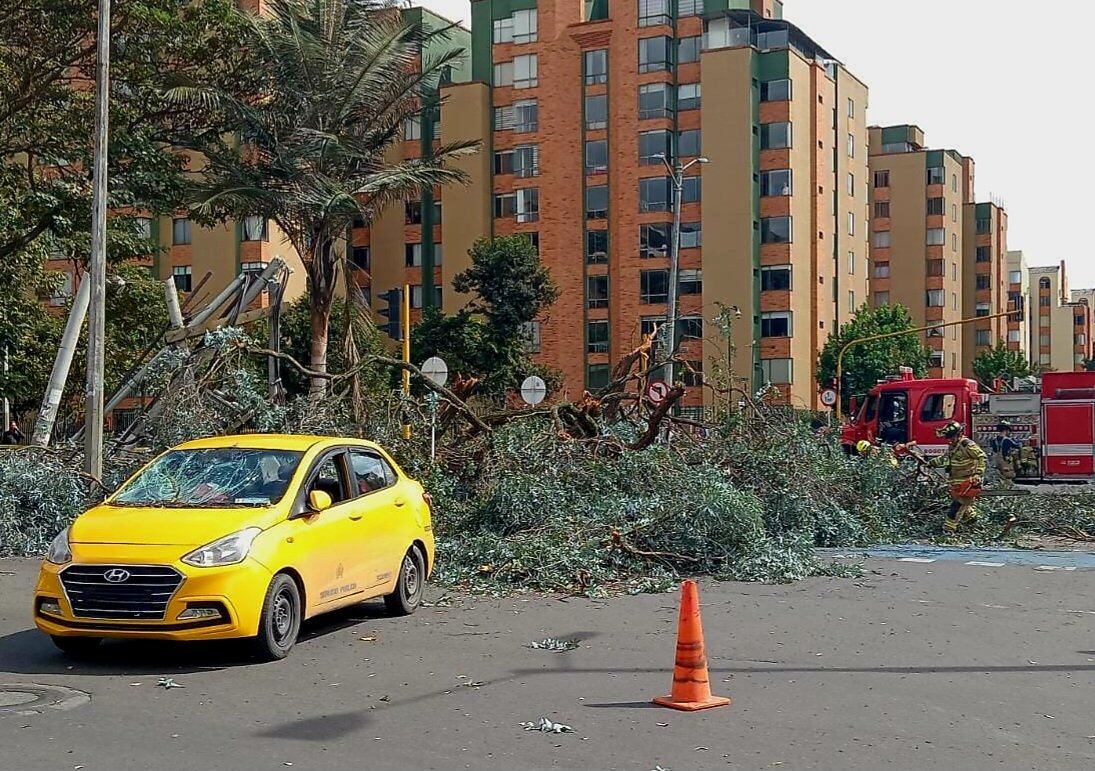 Unidades de Bomberos adelantan labores para retirar el árbol del lugar.