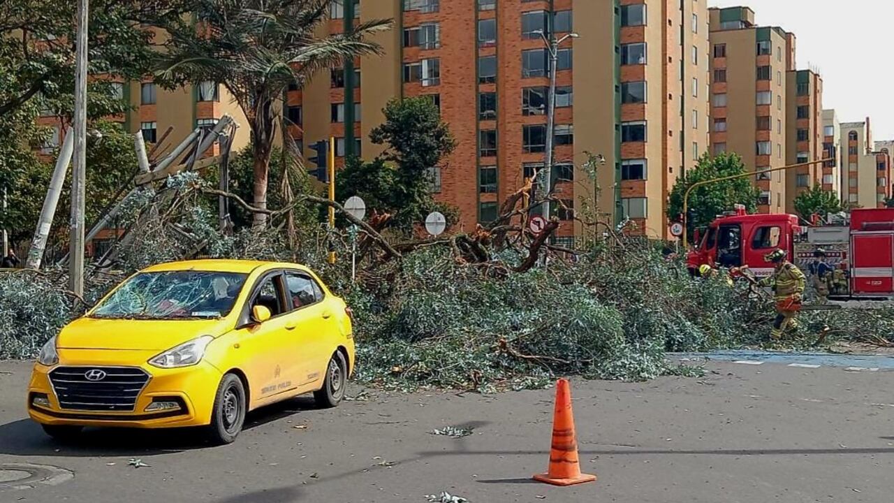 Unidades de Bomberos adelantan labores para retirar el árbol del lugar.