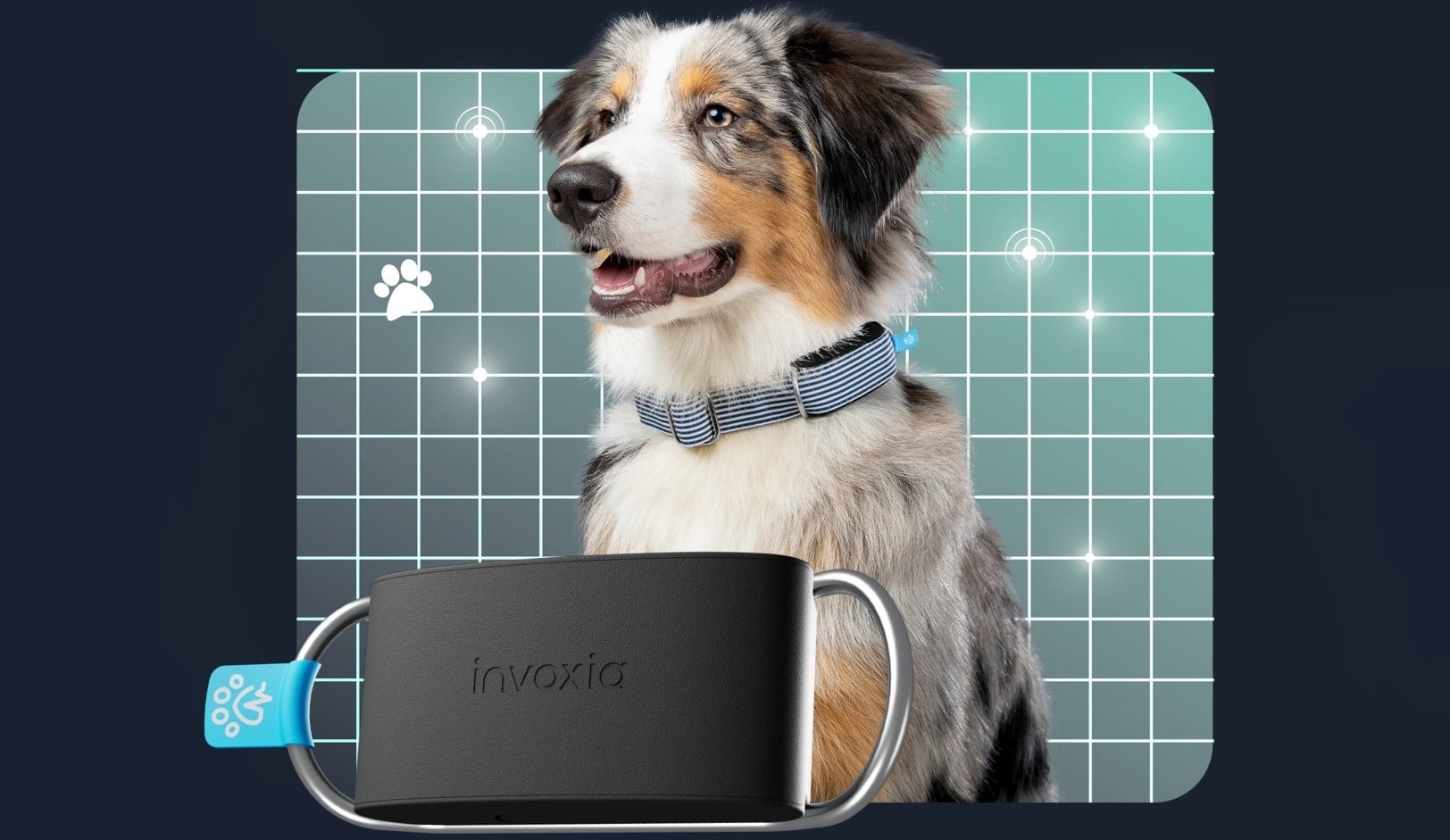 En el CES 2024 se presentó un nuevo collar inteligente para perros.