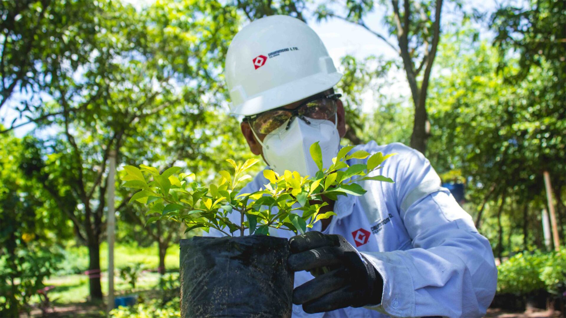 NO USAR, USO EXCLUSIVO MEJOR COLOMBIA, Drummond