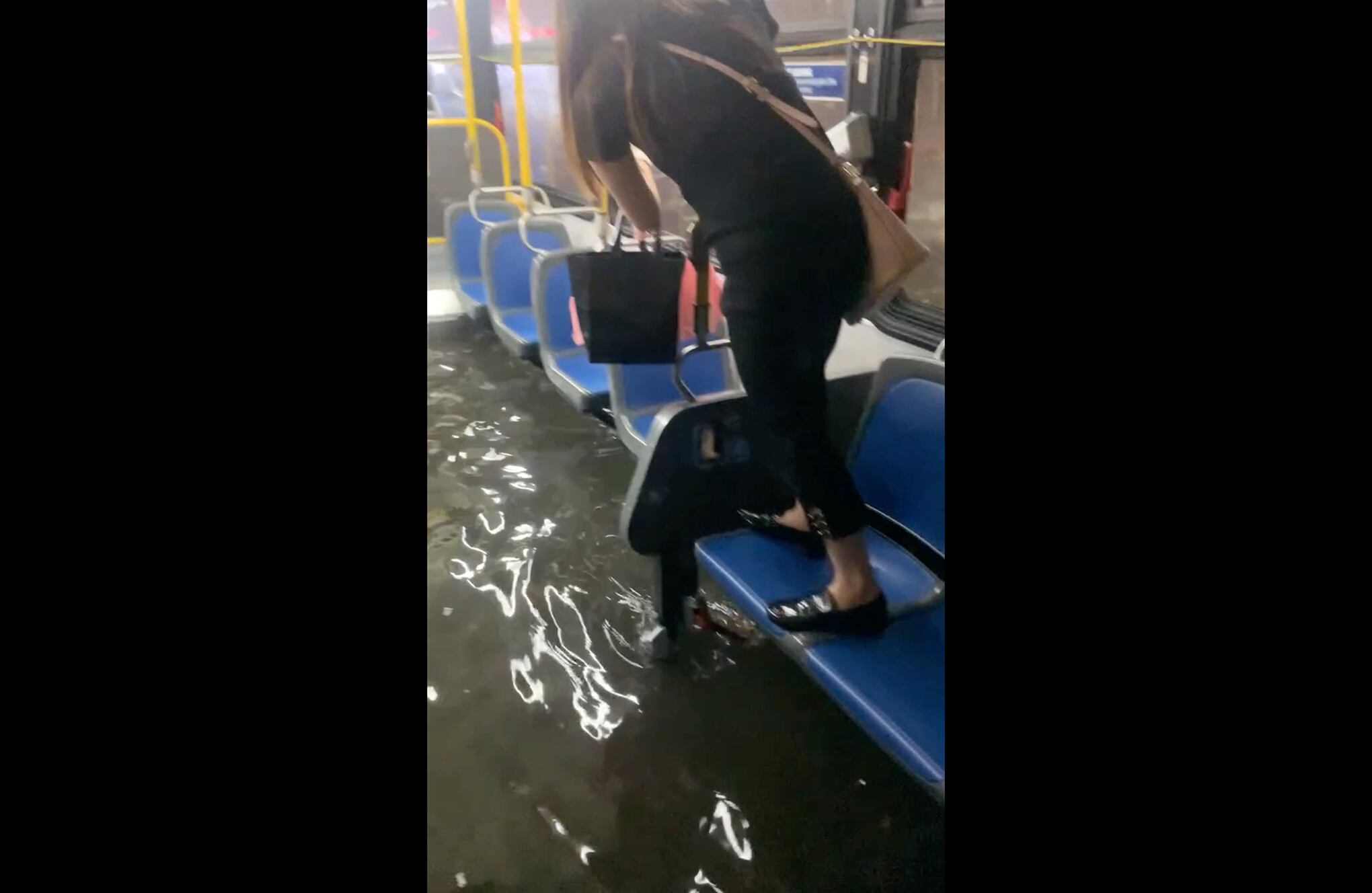 Restos de IDA fotografiado en Nueva York