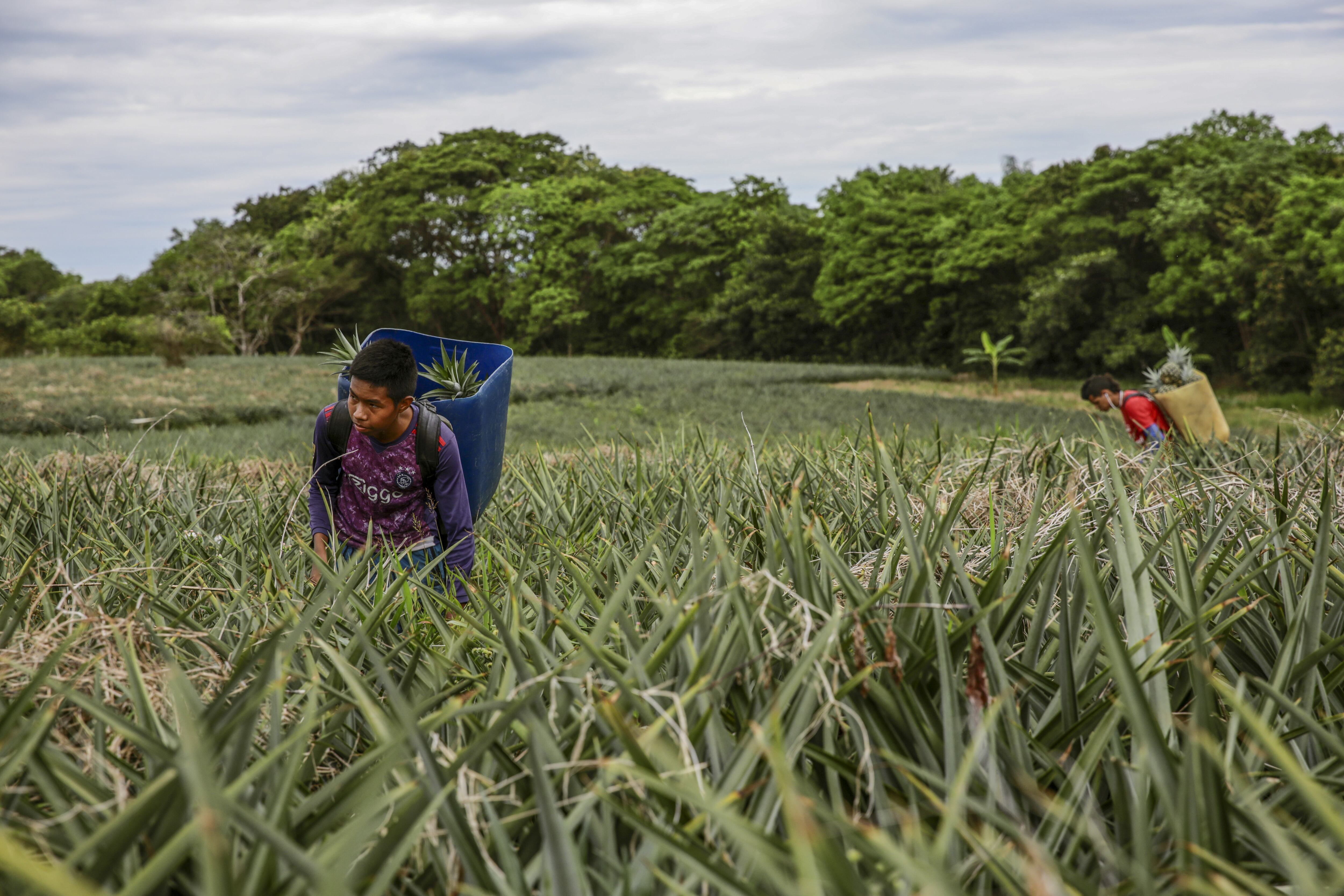 La iniciativa Pescado para el Desarrollo busca formar en valores cívicos y democráticos a los jóvenes rurales del Caquetá.