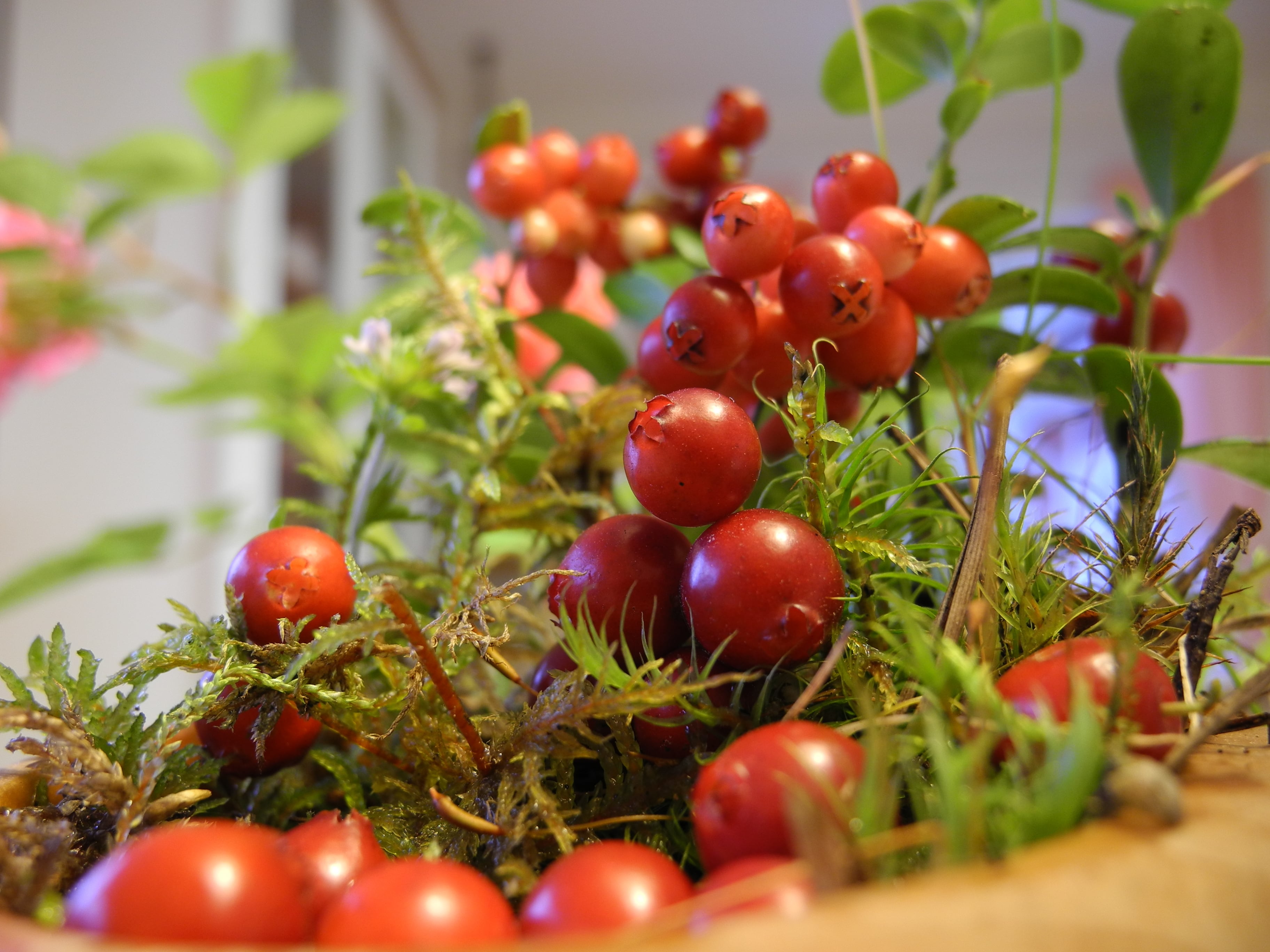 El tomate cherry cuenta con michas propiedades.