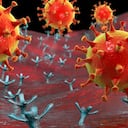 Los receptores en las células humanas que el coronavirus usa como mecanismo de entrada también están presentes en las células oculares.