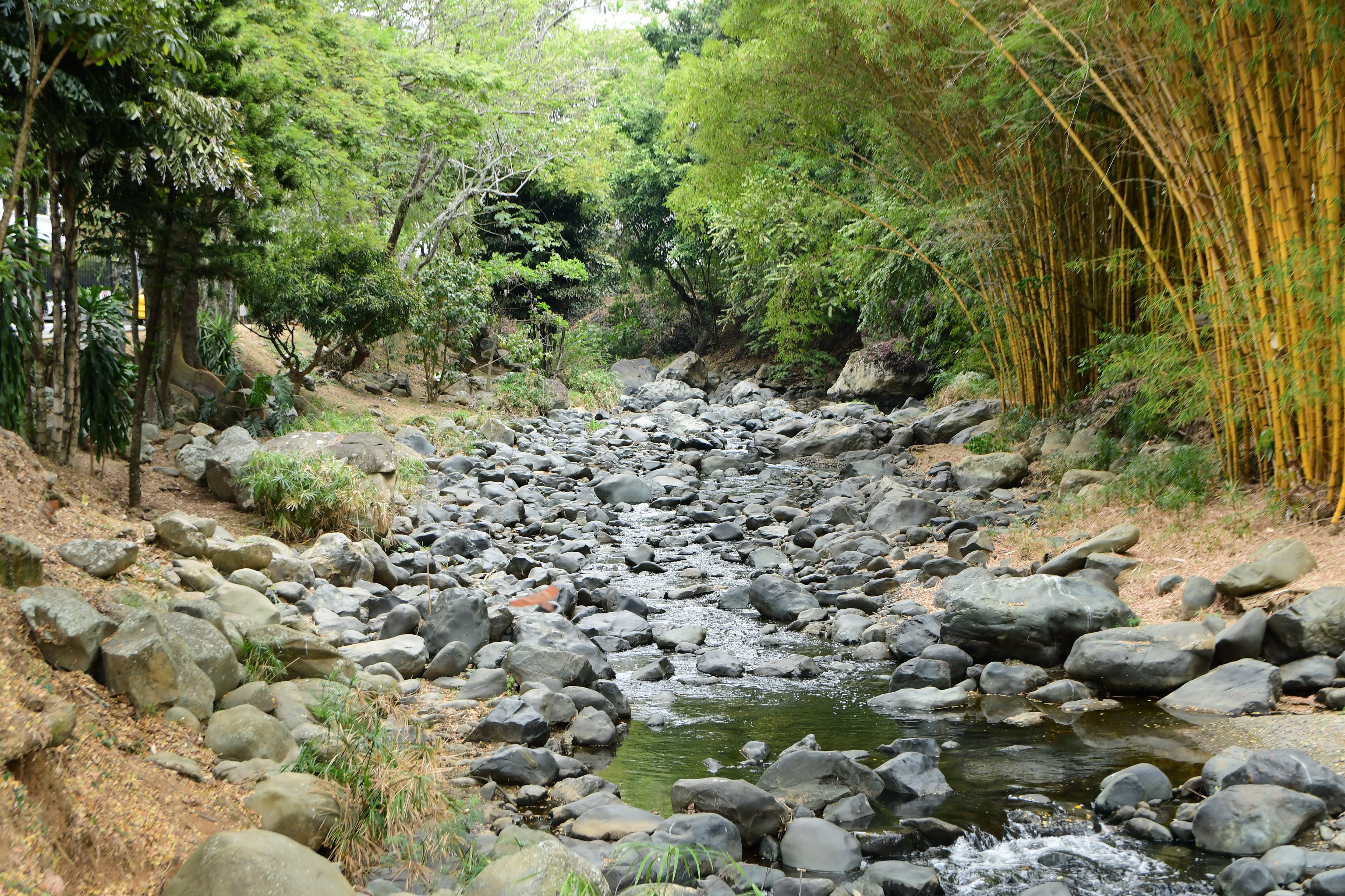 La ola de calor y la sequía tienen al rio Cali en  bajos niveles de caudal.