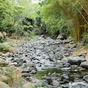 La ola de calor y la sequía tienen al rio Cali en bajos niveles de caudal.