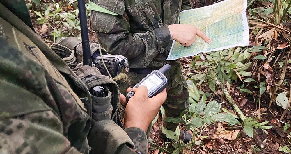 Por muy caminantes que fueran los hermanos, parecía inverosímil que lograran avanzar más allá de las decenas de kilómetros escudriñados por curtidos soldados.