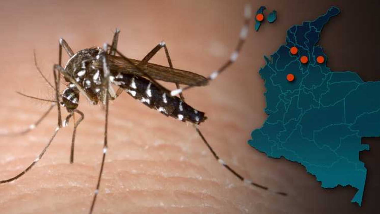 El Salvador y Paraguay han sido los últimos en decretar, la alerta nacional para "controlar y prevenir" la acción de este insecto.