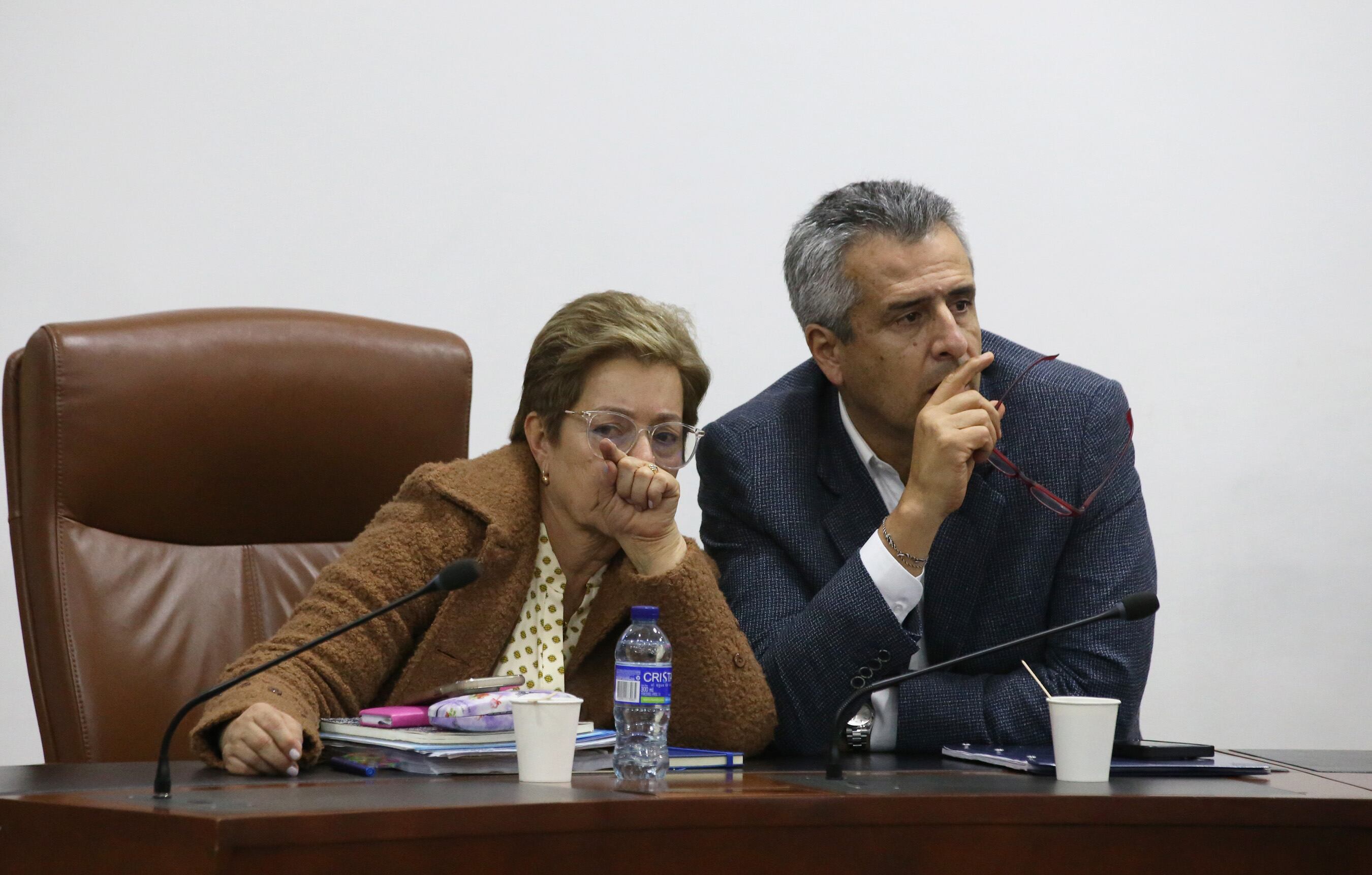 Resumen política 2024