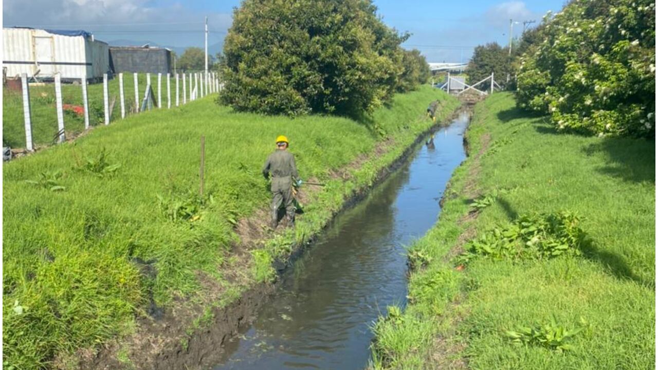 Los trabajos de limpieza manual adelantados en las últimas semanas son claves para retirar el exceso de material vegetal y sólidos sedimentados.