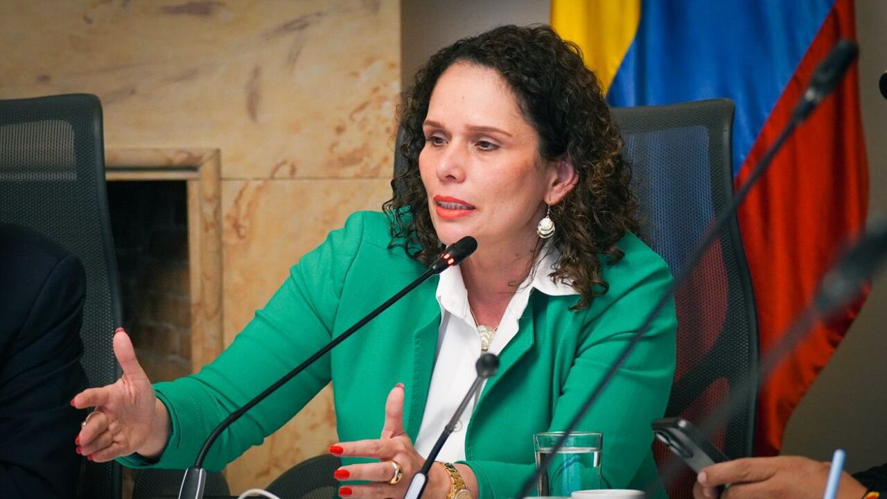 Ministra de Transporte, María Constanza García