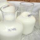 En el primer año del TLC, a Estados Unidos ingresaron más de 2.200 toneladas de yogur colombiano con cero arancel.