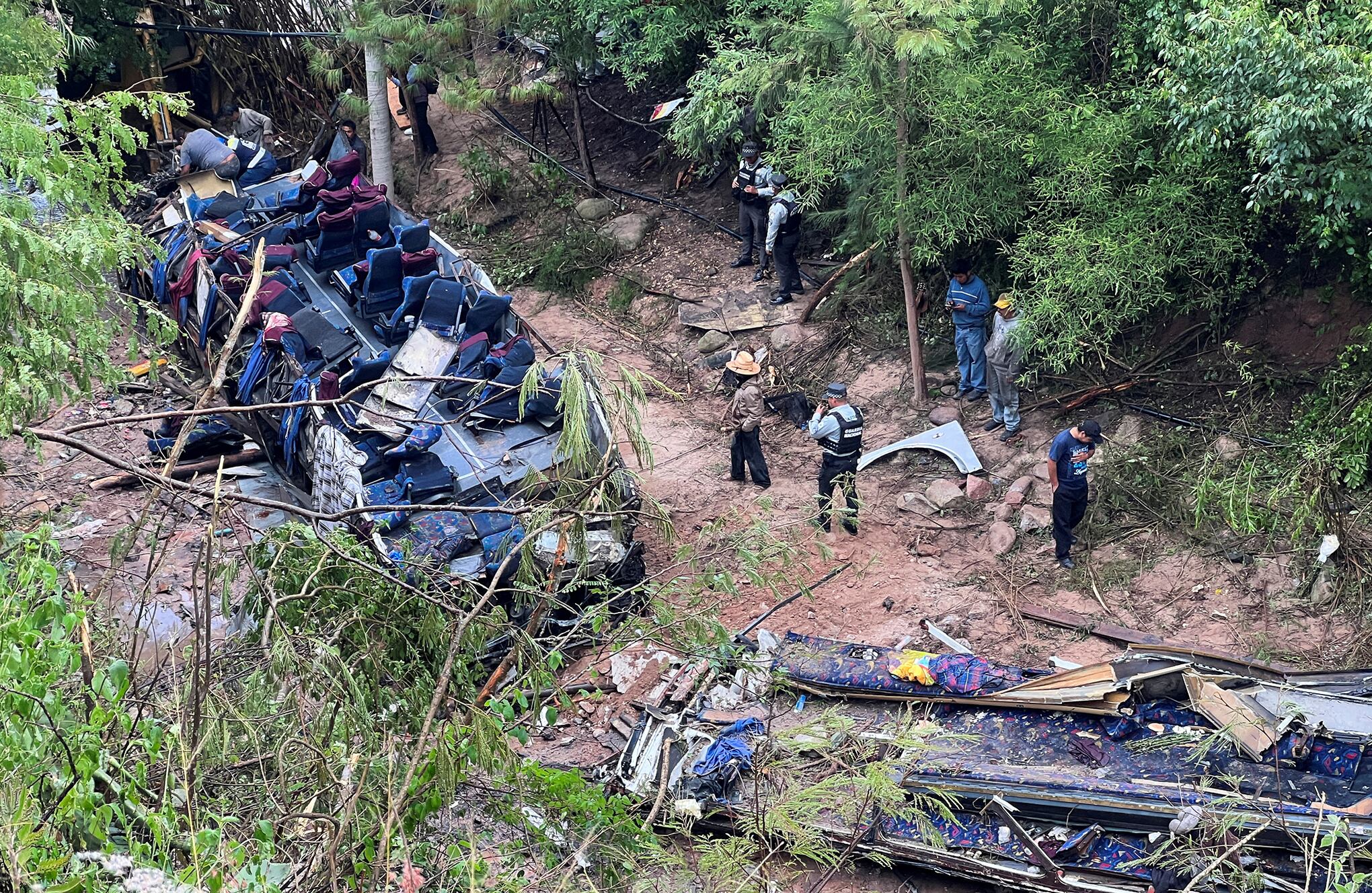 Fotos de la Semana 7 julio